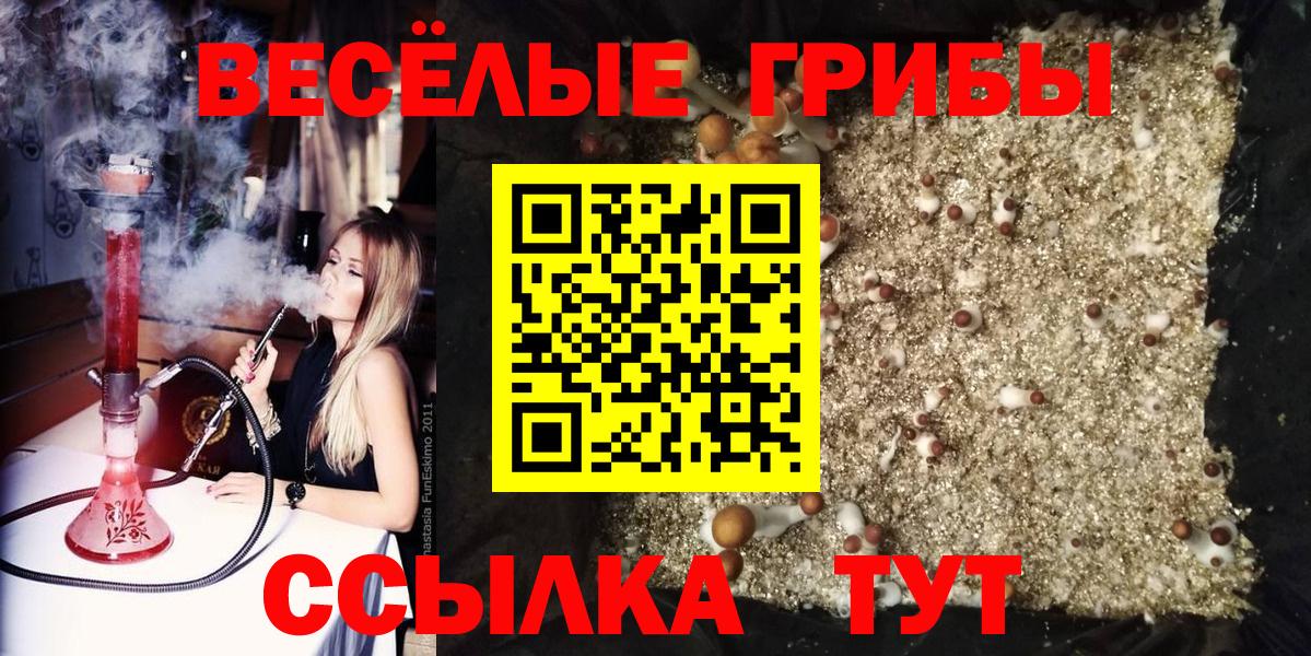 где найти наркотики  Псилоцибиновые грибы мицелий  Вход с VPN  Долгопрудный 